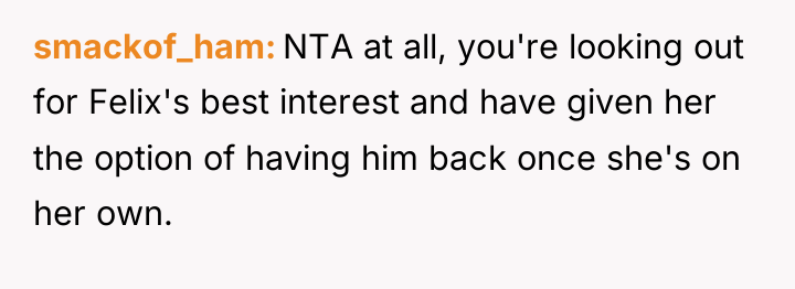 smackof_ham NTA at all, you're looking out for Felix's best...