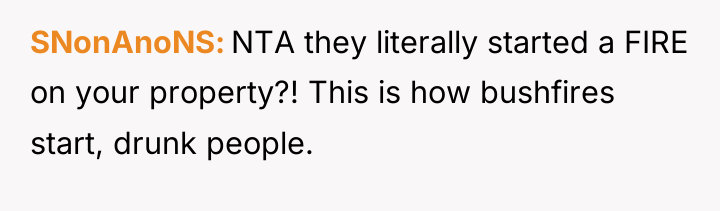 SNonAnoNS NTA they literally started a FIRE on your property?!...