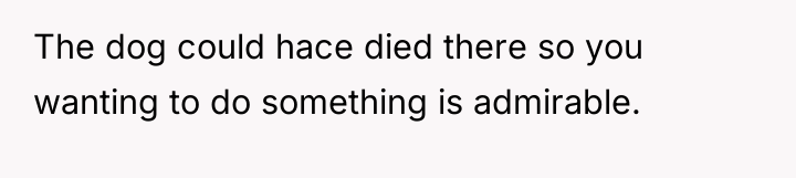 The dog could hace died there so you wanting to...