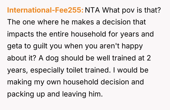 International-Fee255 NTA What pov is that? The one where he...