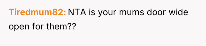 Tiredmum82 NTA is your mums door wide open for them??