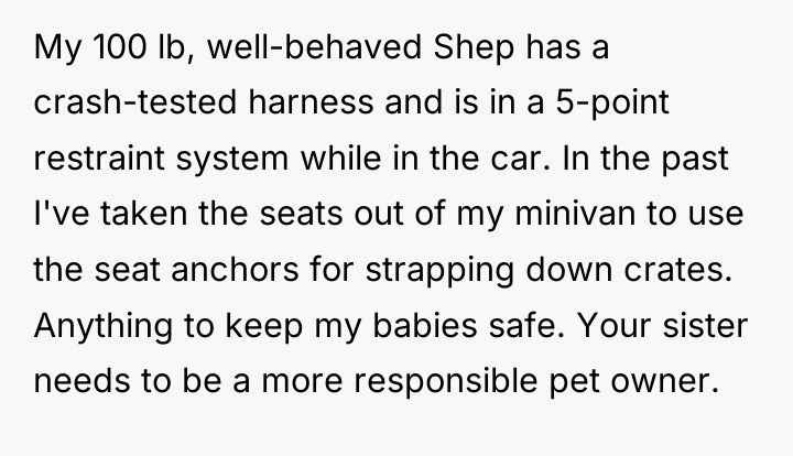 My 100 lb, well-behaved Shep has a crash-tested harness and...