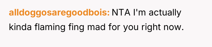 alldoggosaregoodbois NTA I'm actually kinda flaming fing mad for you...