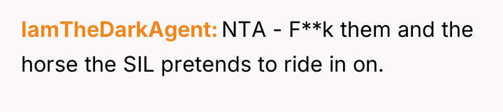 IamTheDarkAgent NTA - F**k them and the horse the SIL...