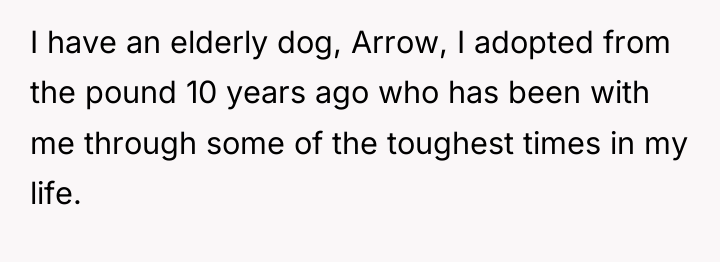 I have an elderly dog, Arrow, I adopted from the...