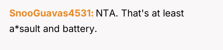 SnooGuavas4531 NTA. That's at least a*sault and battery.