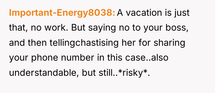 Important-Energy8038 A vacation is just that, no work. But saying...