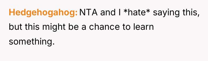 Hedgehogahog NTA and I *hate* saying this, but this might...