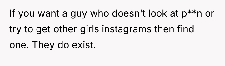 If you want a guy who doesn't look at p**n...
