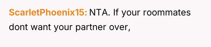 ScarletPhoenix15 NTA. If your roommates dont want your partner over,