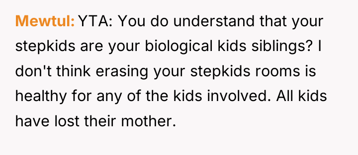 Mewtul YTA: You do understand that your stepkids are your...