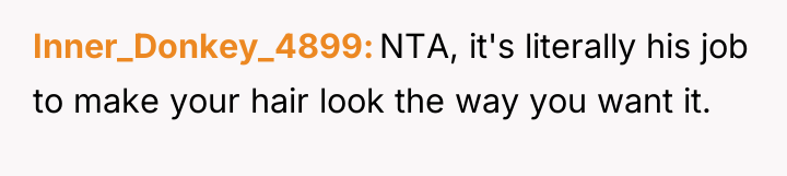 Inner_Donkey_4899 NTA, it's literally his job to make your hair...