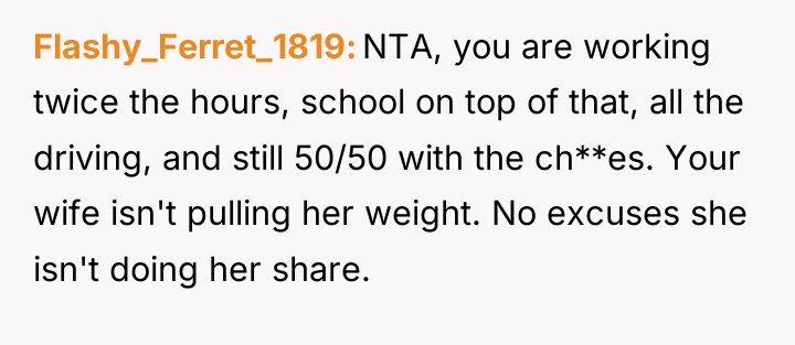 Flashy_Ferret_1819 NTA, you are working twice the hours, school on...