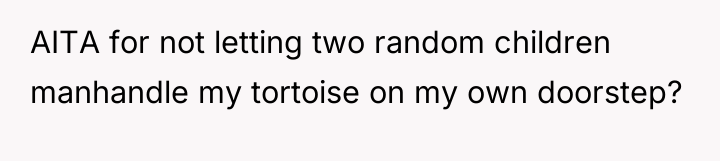 AITA for not letting two random children manhandle my tortoise...
