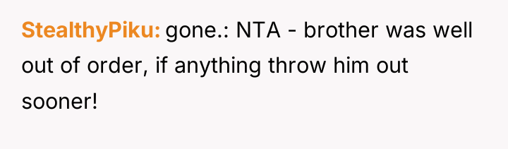 StealthyPiku gone.: NTA - brother was well out of order,...