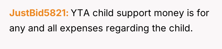 JustBid5821 YTA child support money is for any and all...