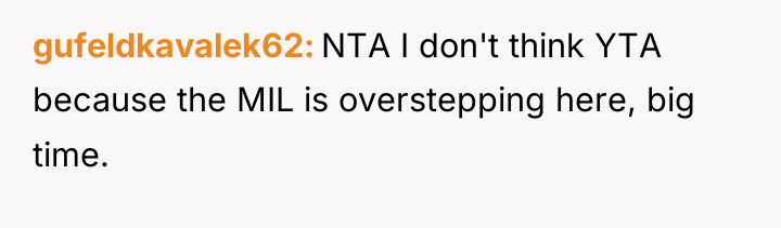 gufeldkavalek62 NTA I don't think YTA because the MIL is...