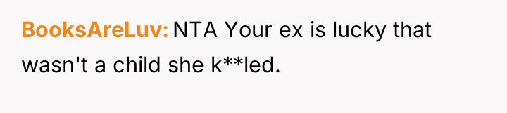 BooksAreLuv NTA Your ex is lucky that wasn't a child...