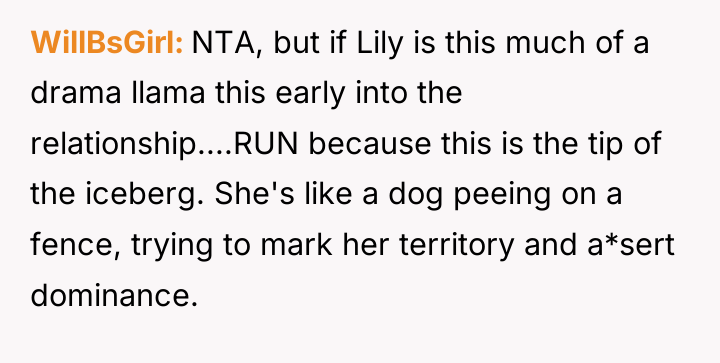 WillBsGirl NTA, but if Lily is this much of a...