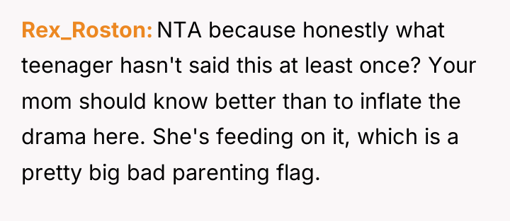 Rex_Roston NTA because honestly what teenager hasn't said this at...