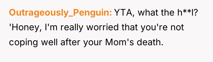 Outrageously_Penguin YTA, what the h**l? 'Honey, I'm really worried that...