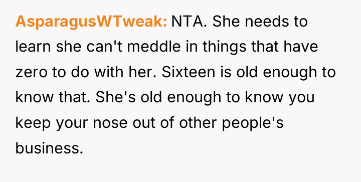 AsparagusWTweak NTA. She needs to learn she can't meddle in...