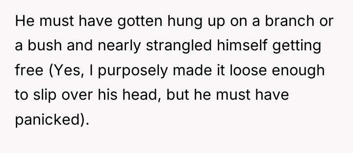 He must have gotten hung up on a branch or...