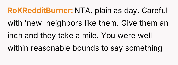 RoKRedditBurner NTA, plain as day. Careful with 'new' neighbors like...