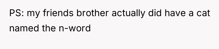 PS: my friends brother actually did have a cat named...