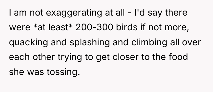I am not exaggerating at all - I'd say there...