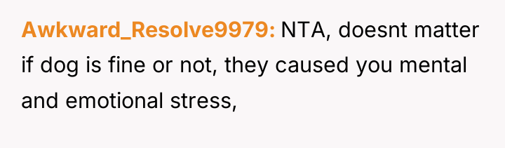 Awkward_Resolve9979 NTA, doesnt matter if dog is fine or not,...
