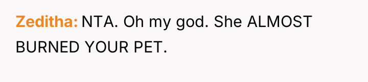 Zeditha NTA. Oh my god. She ALMOST BURNED YOUR PET.