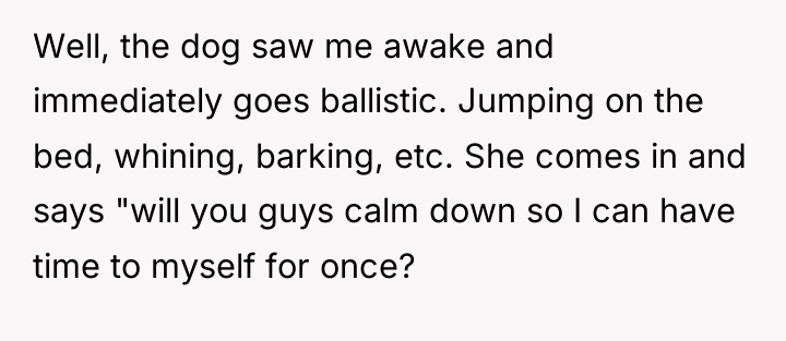 Well, the dog saw me awake and immediately goes ballistic....