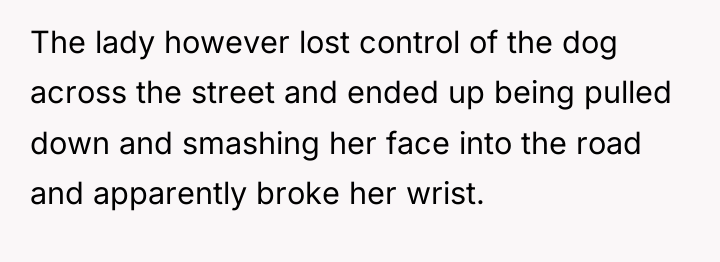 The lady however lost control of the dog across the...