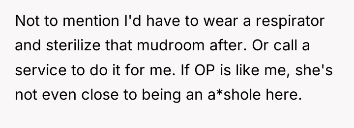 Not to mention I'd have to wear a respirator and...