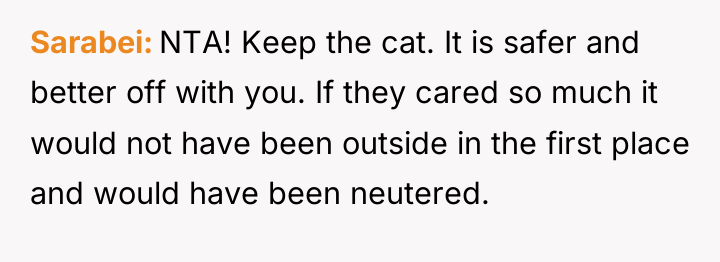 Sarabei NTA! Keep the cat. It is safer and better...