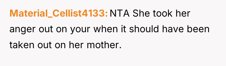 Material_Cellist4133 NTA She took her anger out on your when...