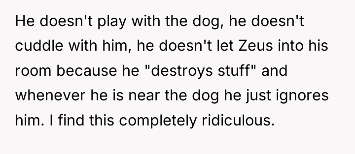 He doesn't play with the dog, he doesn't cuddle with...