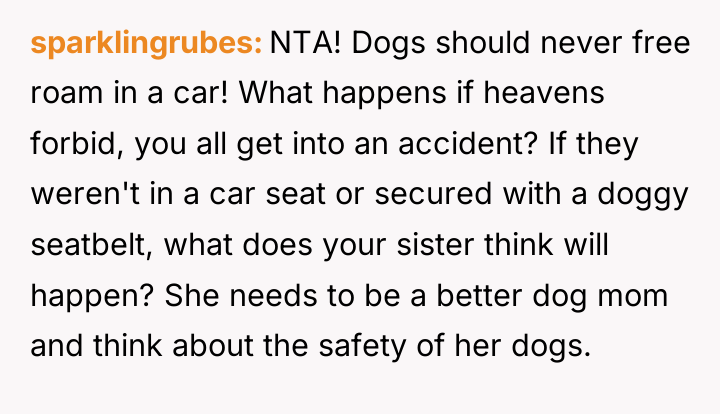 sparklingrubes NTA! Dogs should never free roam in a car!...