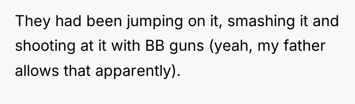 They had been jumping on it, smashing it and shooting...