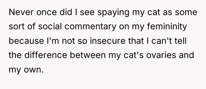 Never once did I see spaying my cat as some...
