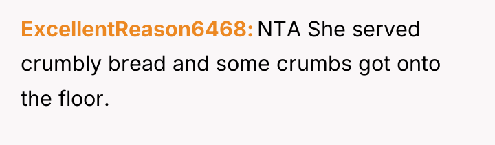 ExcellentReason6468 NTA She served crumbly bread and some crumbs got...