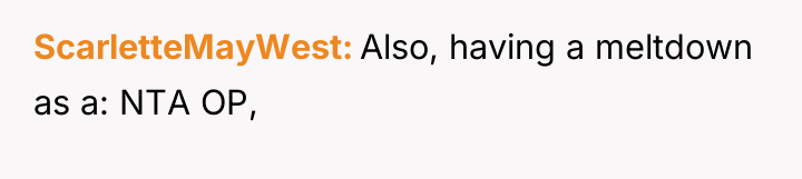 ScarletteMayWest Also, having a meltdown as a: NTA OP,