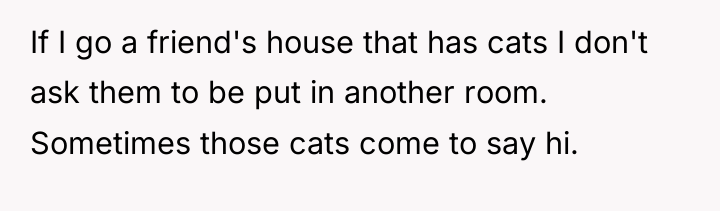 If I go a friend's house that has cats I...