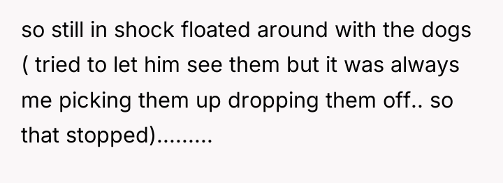 so still in shock floated around with the dogs (...