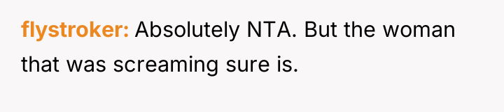 flystroker Absolutely NTA. But the woman that was screaming sure...