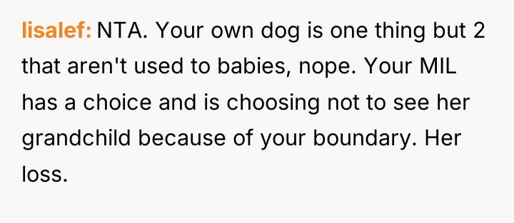 lisalef NTA. Your own dog is one thing but 2...
