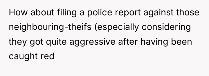 How about filing a police report against those neighbouring-theifs (especially...