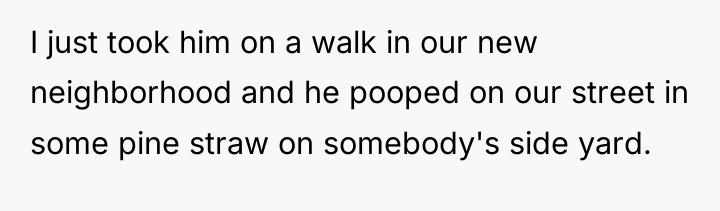 I just took him on a walk in our new...