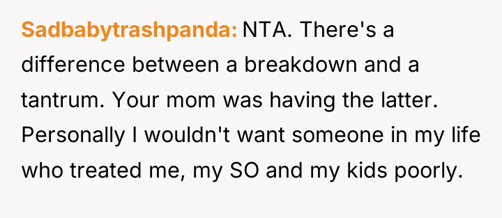 Sadbabytrashpanda NTA. There's a difference between a breakdown and a...